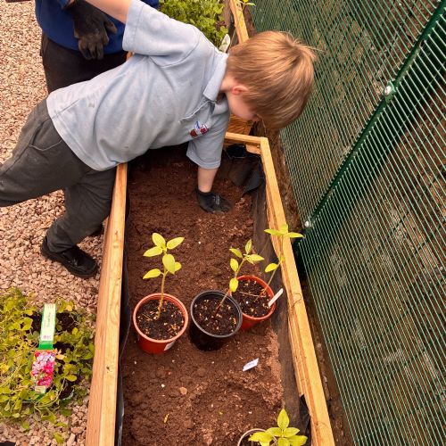 Nurture Garden Club